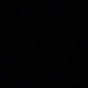 Meet your Posher, Branden